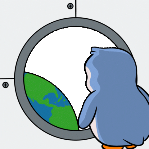 Penguin Floating Inside Rocket Ship GIF