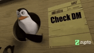 Penguin Flying Next to Check DM