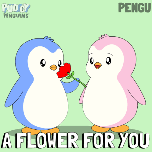 Penguin Giving Flower Saying A Flower For You