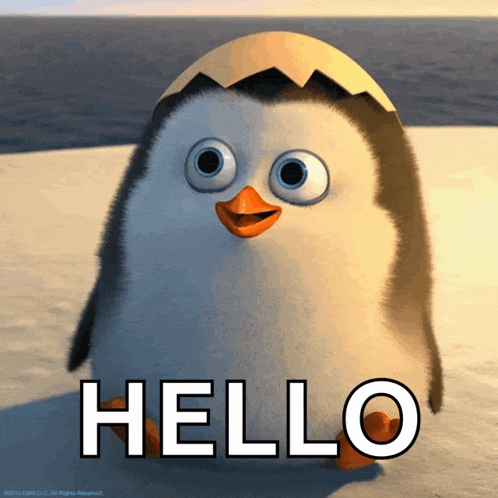 Penguin Hello Gif GIF