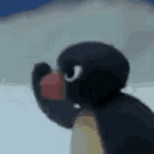 Penguin Holding Apple in Snow