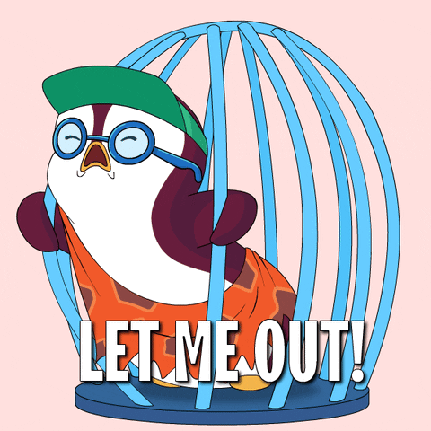 Penguin In Cage Saying Let Me Out GIF