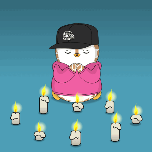 Penguin in Pink Hoodie and The North Face Hat