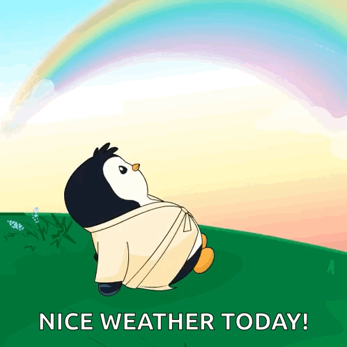 Penguin in Robe Looking at Rainbow Nice Weather