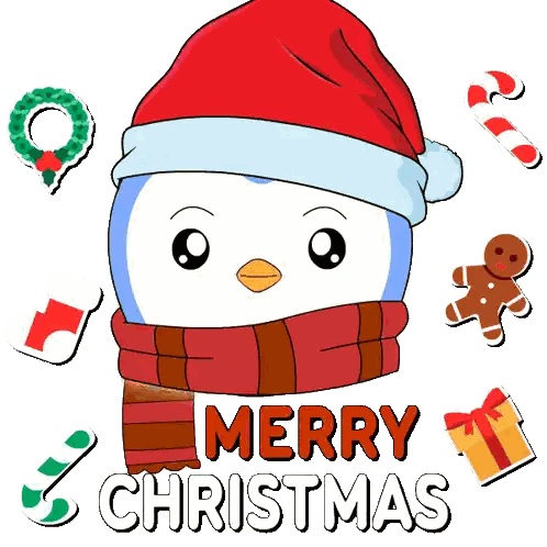 Penguin in Santa Hat and Sunglasses Merry Christmas