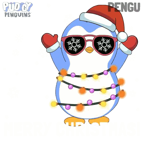 Penguin in Santa Hat and Sunglasses with Christmas Lights