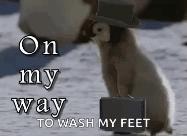 Penguin in Top Hat Carrying Briefcase Walking in Snow