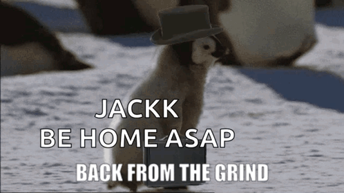 Penguin in Top Hat Carrying Laptop