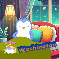 Penguin Laying on Bed Saying Right Washington