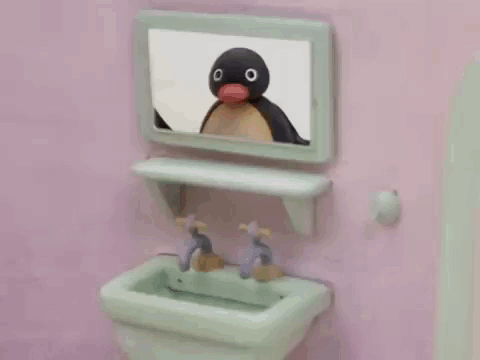 Penguin Looking at Mirror