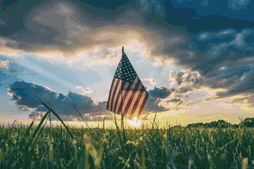 Penguin Military Hat Salutes American Flag Veterans Day