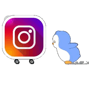 Penguin Next to Instagram Icon