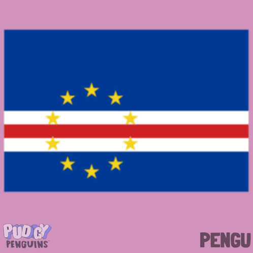 Penguin Next to Soccer Ball With Penguins Flag