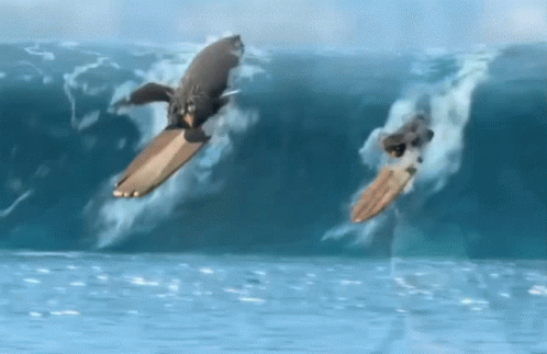 Penguin On Surfboard Jumping Into Water GIF