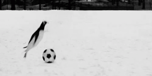 Penguin Playing Soccer Ball GIF