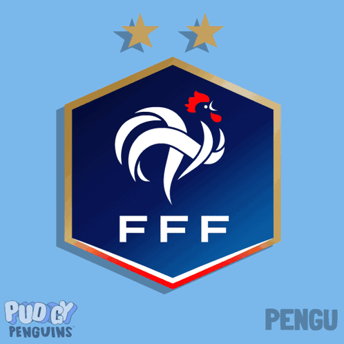 Penguin Playing Soccer With FFF Logo