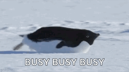 Penguin Running Through Snow Saying Busy Busy Busy