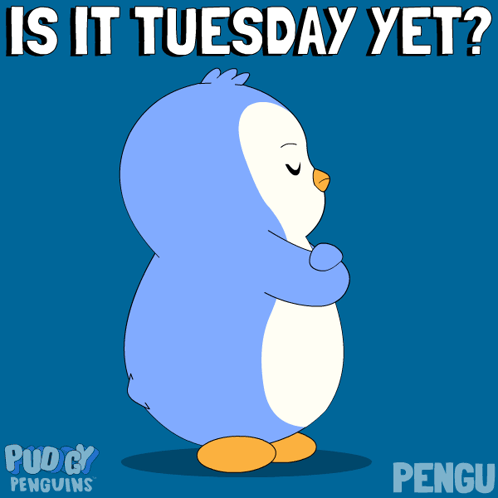 Penguin Saying Is It Tuesday Yet