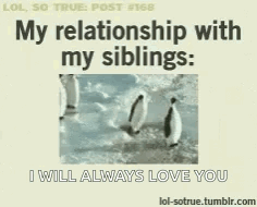 Penguin Saying My Relationship With My Siblings I Will Always Love You GIF