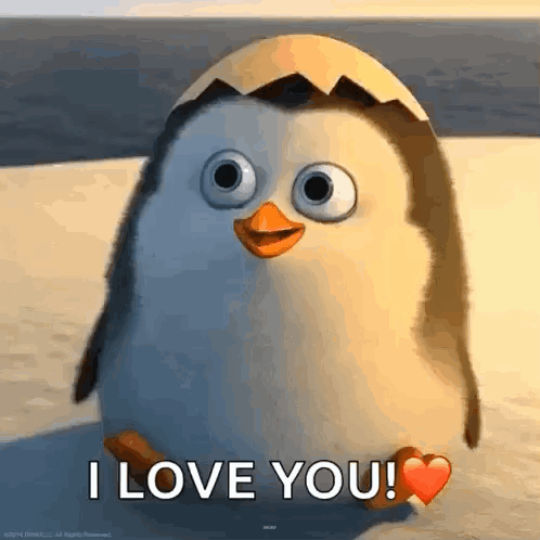 Penguin Sitting on Beach With Heart Saying I Love You