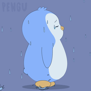 Penguin Standing in Rain