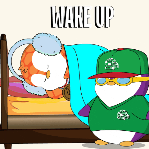 Penguin Standing Next to Sleeping Penguin Wake Up