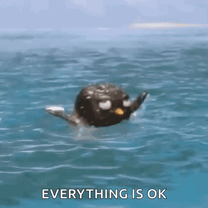 Penguin Swimming in Ocean Saying Everything Is Ok