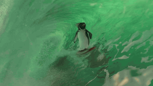 Penguin Swimming with Long Tail and Open Mouth