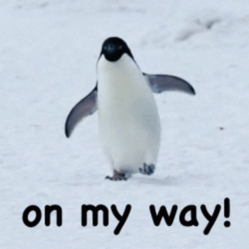 Penguin Walking in Snow on My Way