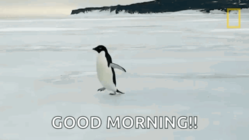 Penguin Walking on Ice Saying Good Morning