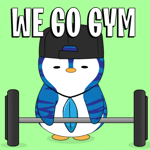Penguin We Go To The Gym Raise Barbell GIF