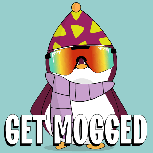 Penguin Wearing Hat and Scarf Get Mogged