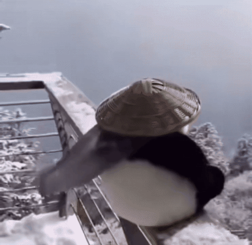 Penguin Wearing Hat on Snowy Balcony