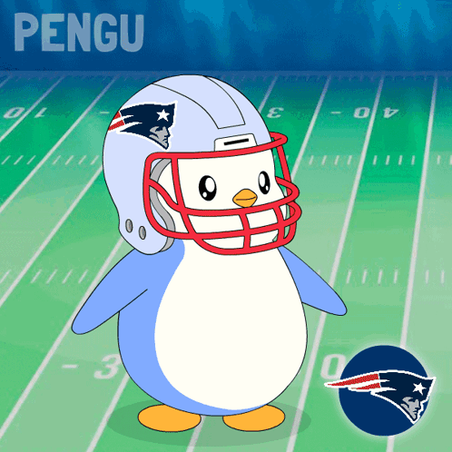 Penguin Wearing Patriots Helmet On Field GIF