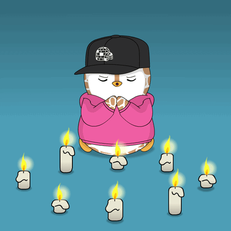 Penguin Wearing Pink Hoodie Black Hat 202