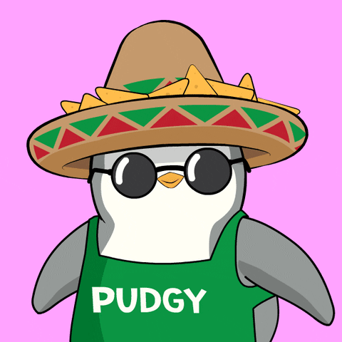 Penguin Wearing Sombrero and Sunglasses