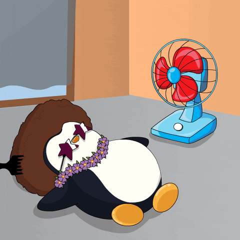 Penguin Wearing Sunglasses and Lei Lying By Fan