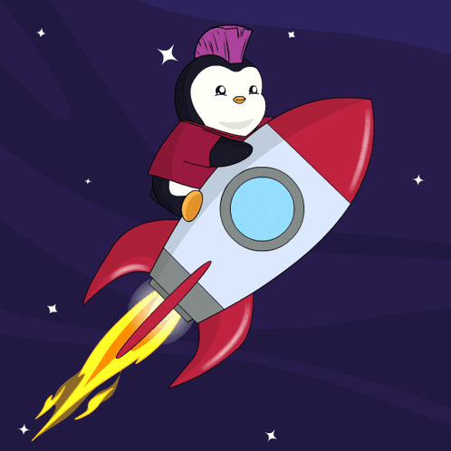 Penguin with Purple Mohawk Flying on Rocket