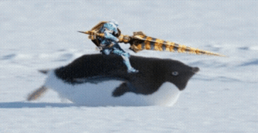 Penguin With Sword on Back