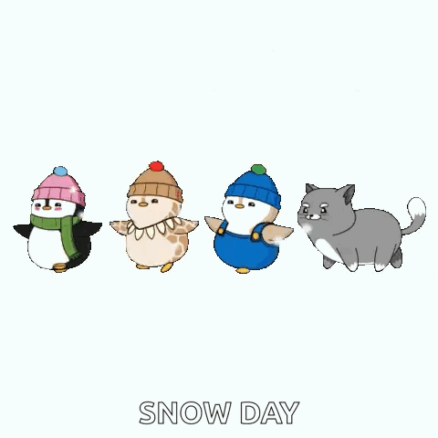 Penguins, Bird, Cat and Dog in Snow