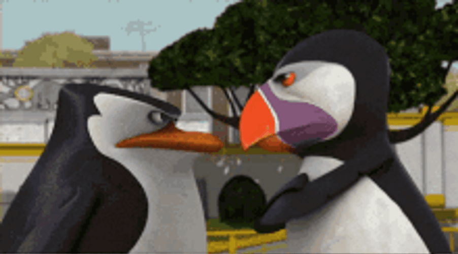 Penguins Of Madagascar Angry Skipper Face Off GIF