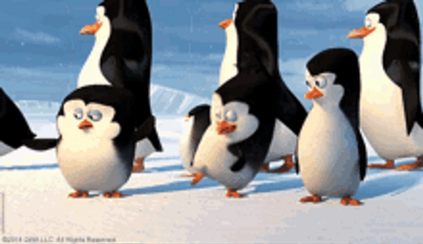 Penguins Of Madagascar Cute Shocked High Five GIF