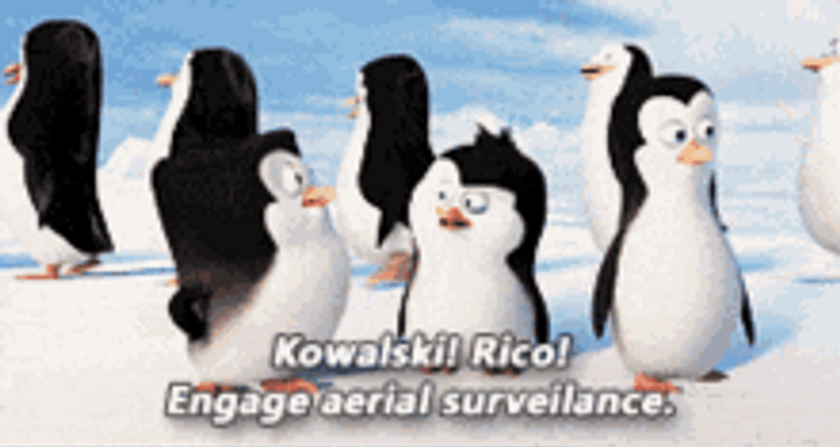 Penguins Of Madagascar Cute Talking Aerial Surveillance GIF