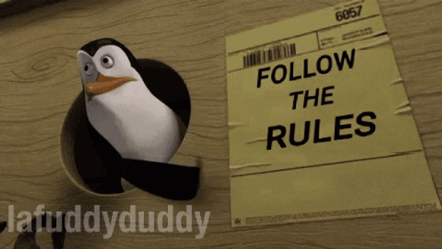 Penguins Of Madagascar Follow The Rules GIF