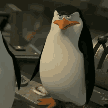 Penguins Of Madagascar Holding Weapon GIF