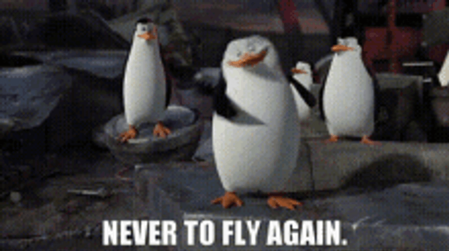 Penguins Of Madagascar Hopeless Never To Fly Again GIF