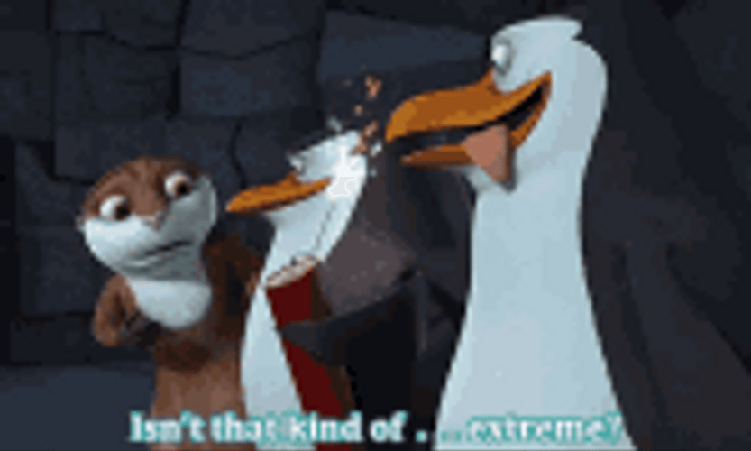 Penguins Of Madagascar Is That Extreme Dynamite GIF