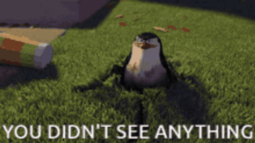Penguins Of Madagascar You Didn't See Anything GIF