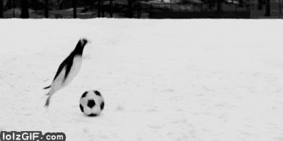 Penguins Playing Soccer GIF