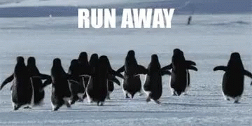 Penguins Running In Line GIF